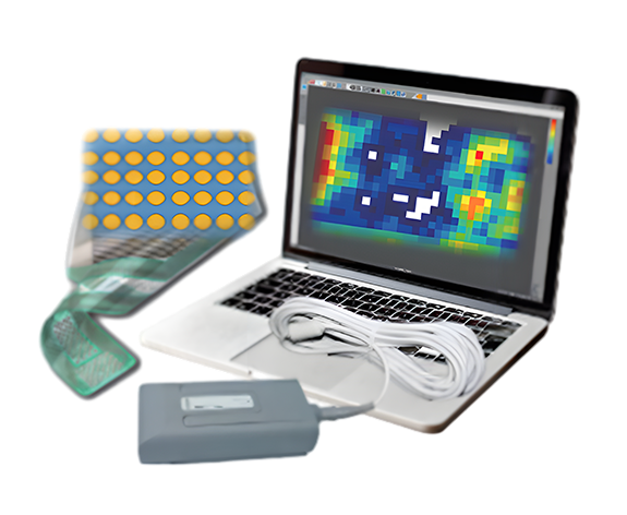 In-Situ Cell Swelling Force  Distribution Testing ...